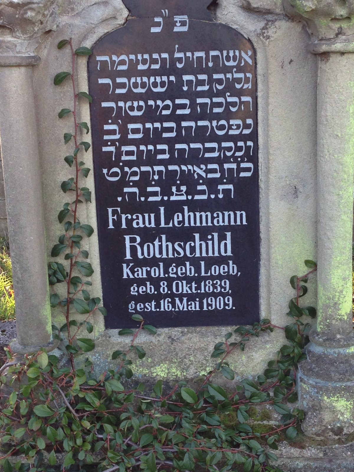 Frau Lehmann Rothschild