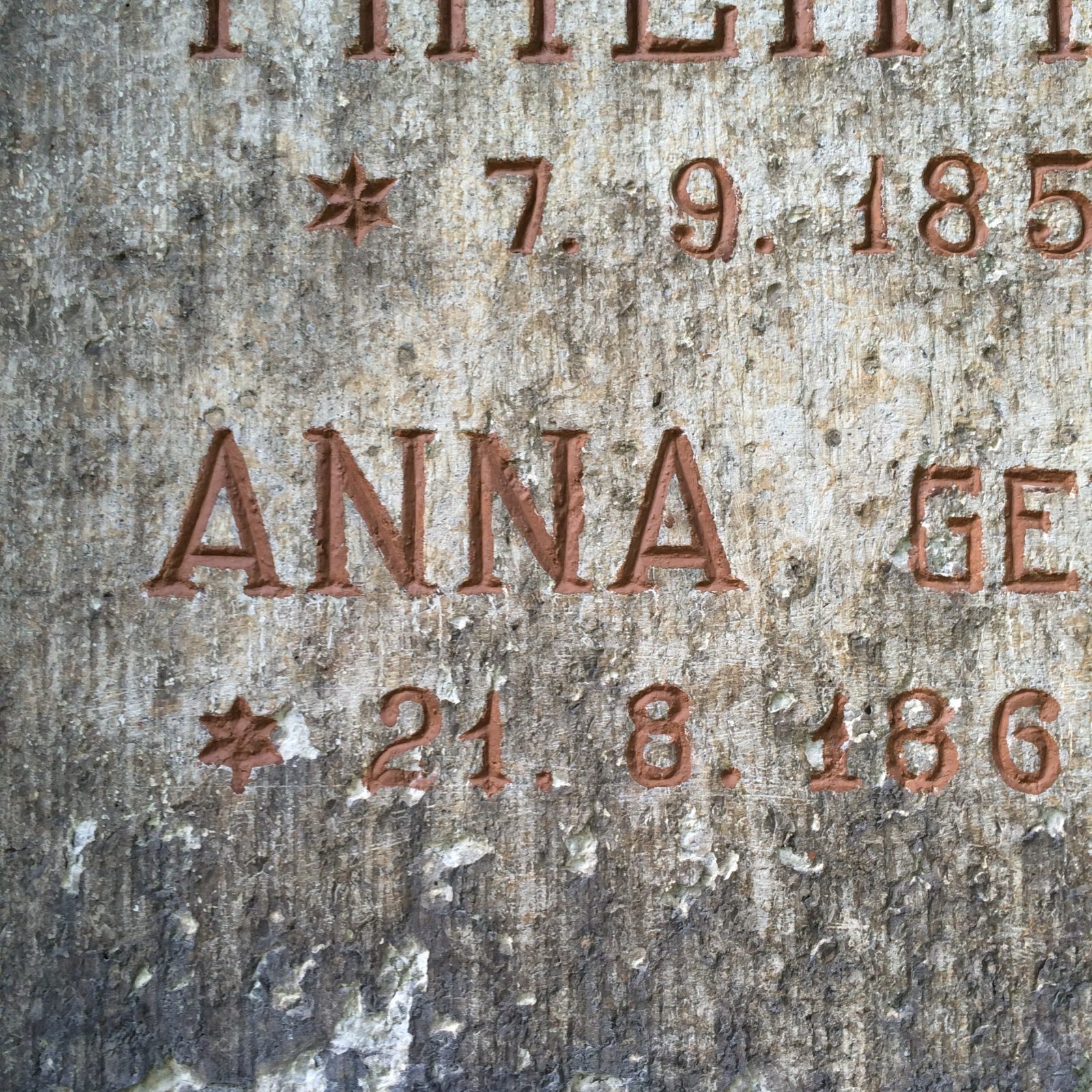 ANNA