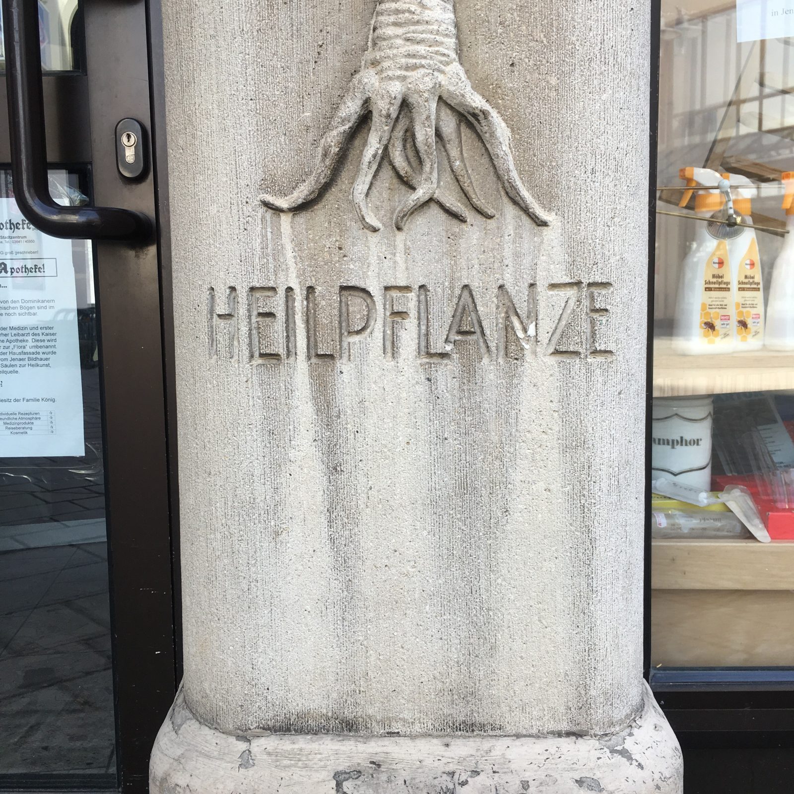Heilpflanze
