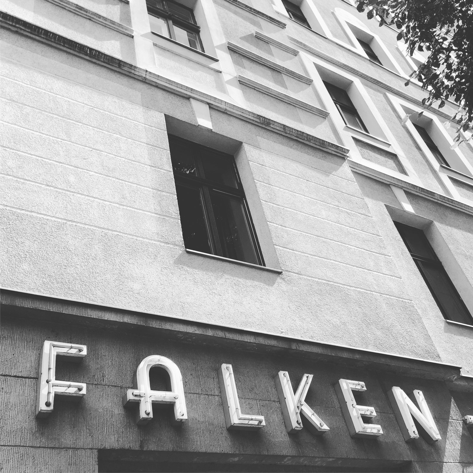 Falken