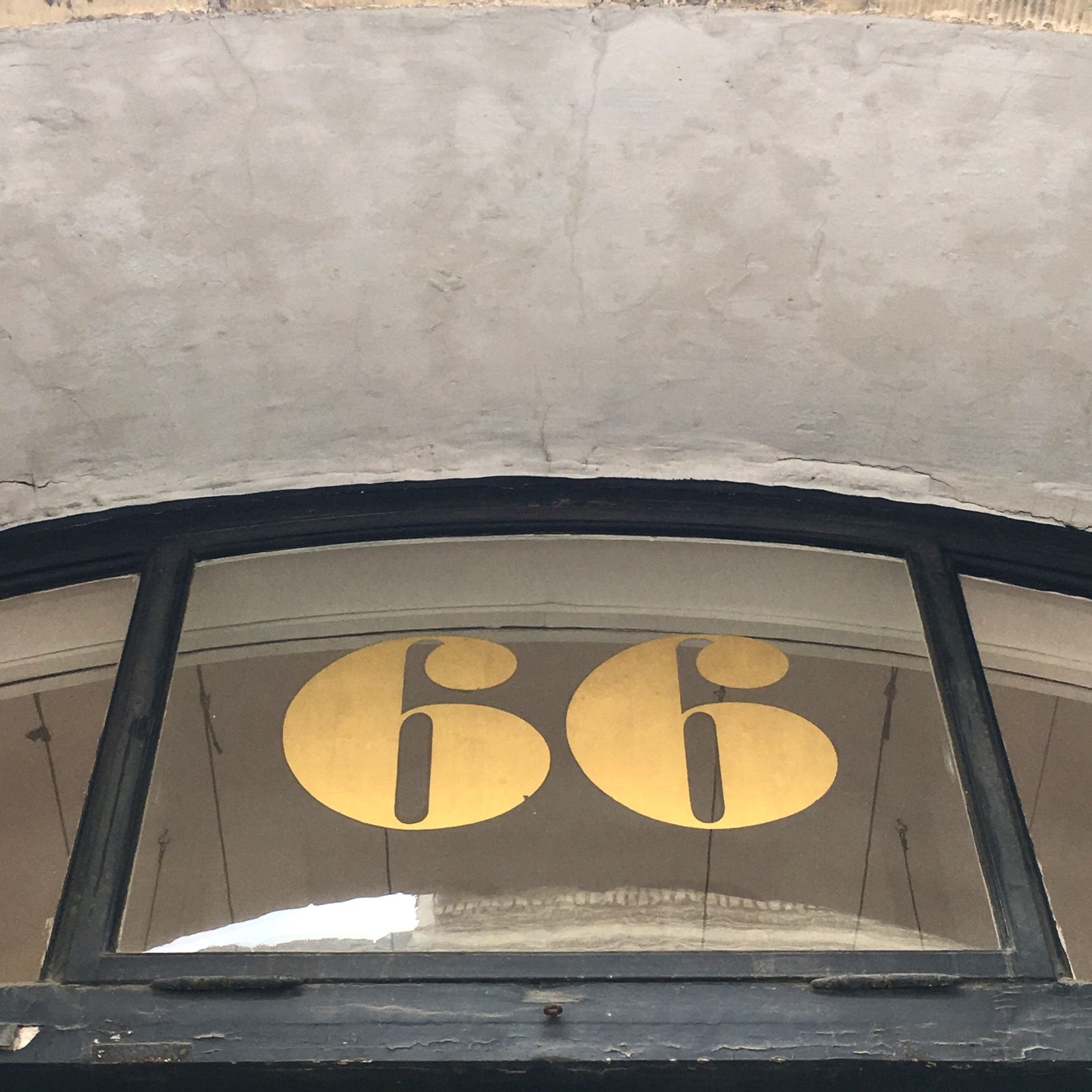 66
